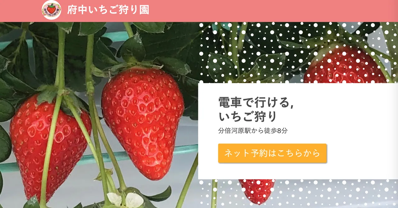 個人事業主が利用ができる決済代行サービス
